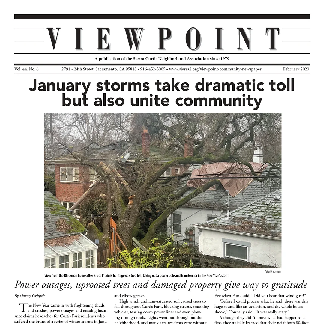 Viewpoint February 2023 Featured Image