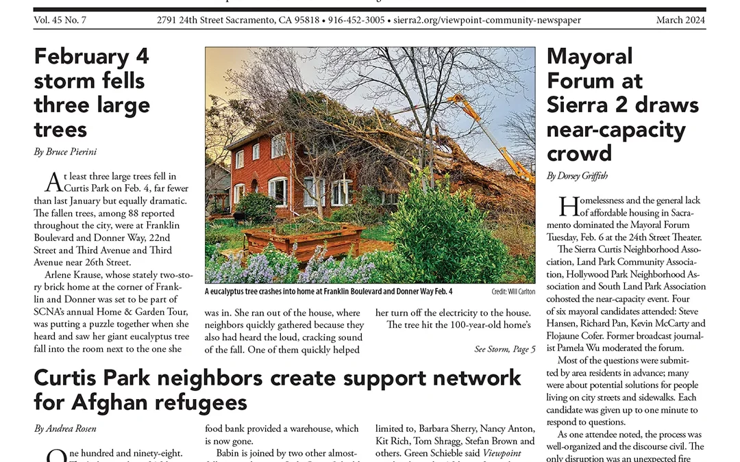 Viewpoint: March 2024