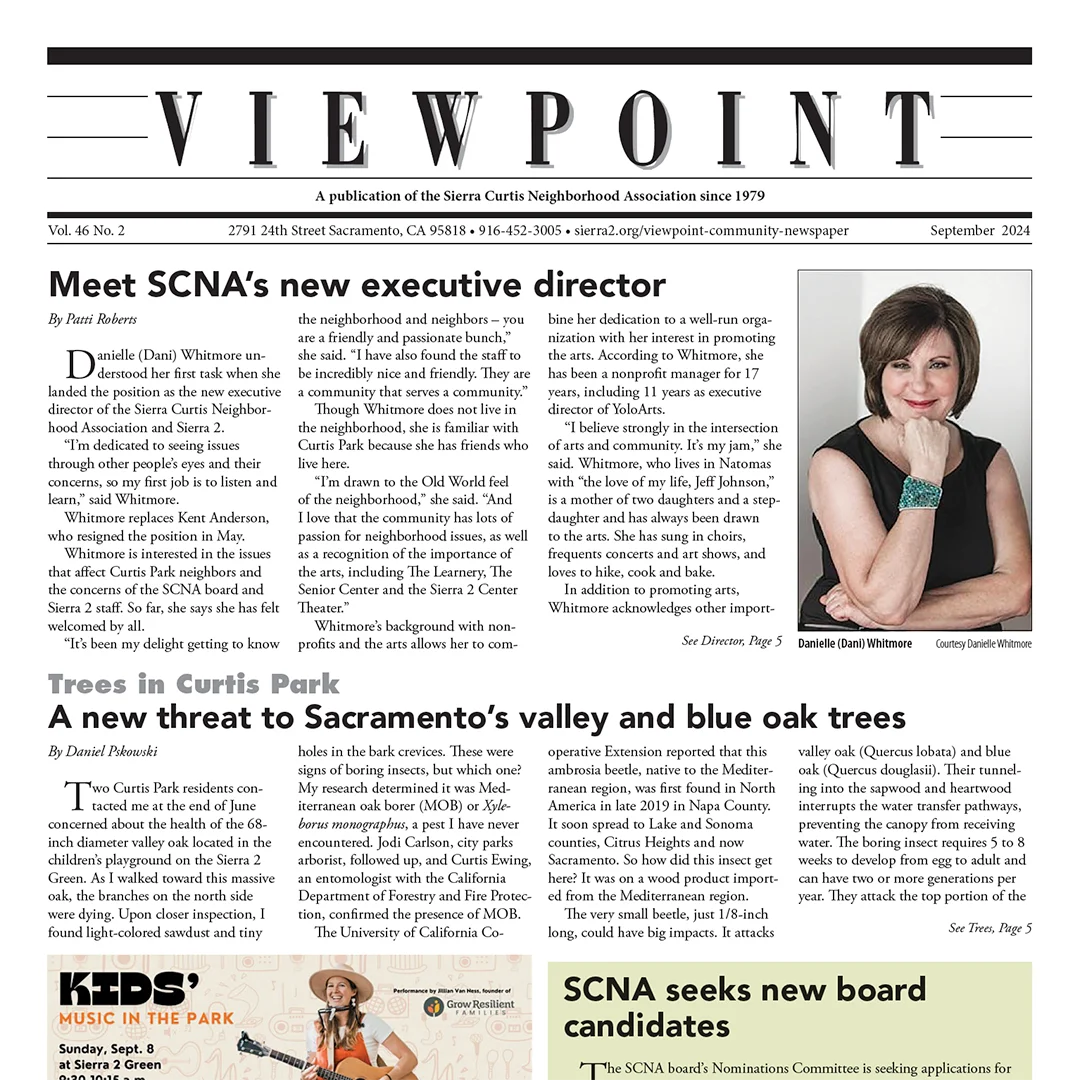 Viewpoint September 2024 Featured Image