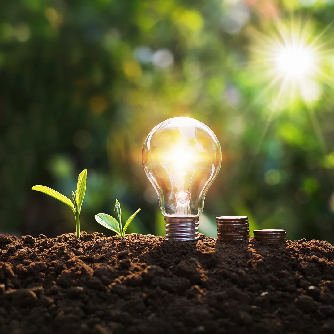 Light bulb with plants and coins