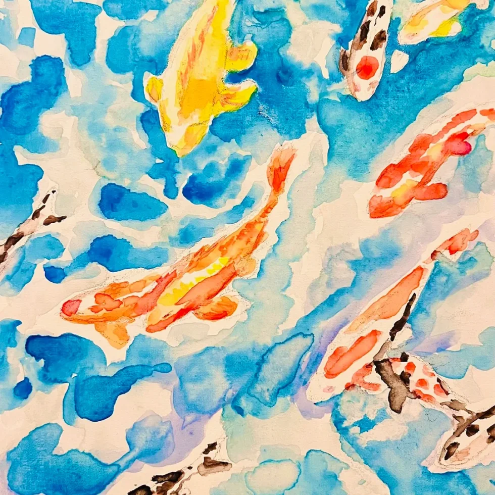 Colorful koi fish swimming in water